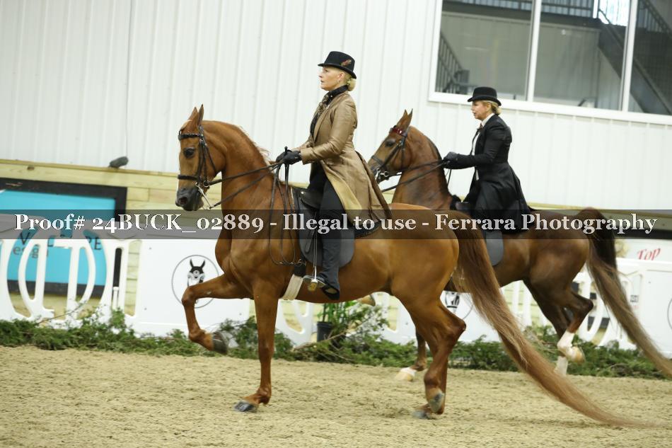 Proof 24BUCK_02889