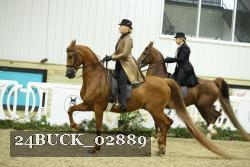 24BUCK_02889 proof
