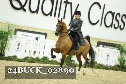 24BUCK_02890 proof