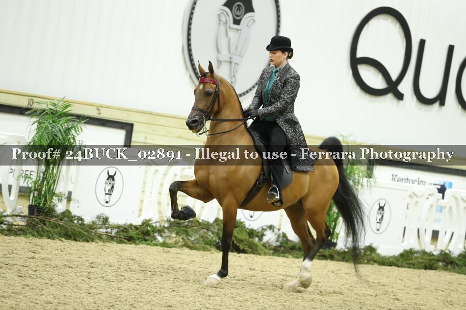 Proof 24BUCK_02891