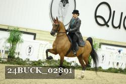 24BUCK_02891 proof