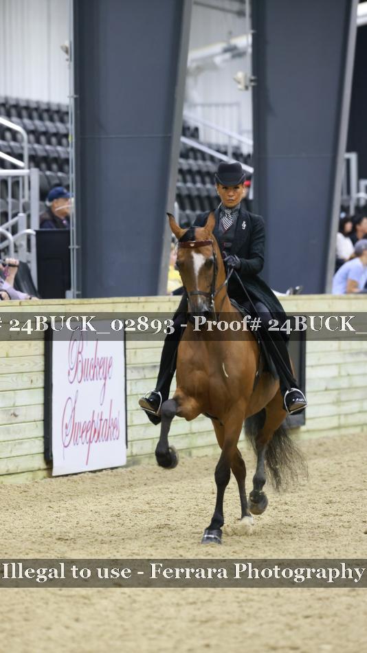 Proof 24BUCK_02893