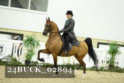24BUCK_02894 proof