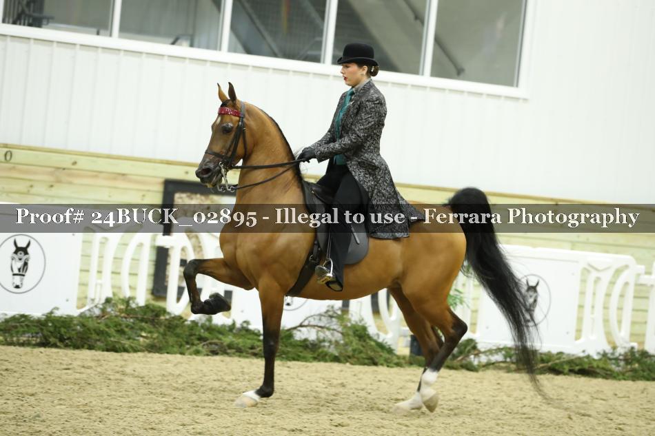 Proof 24BUCK_02895
