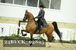 24BUCK_02895 proof