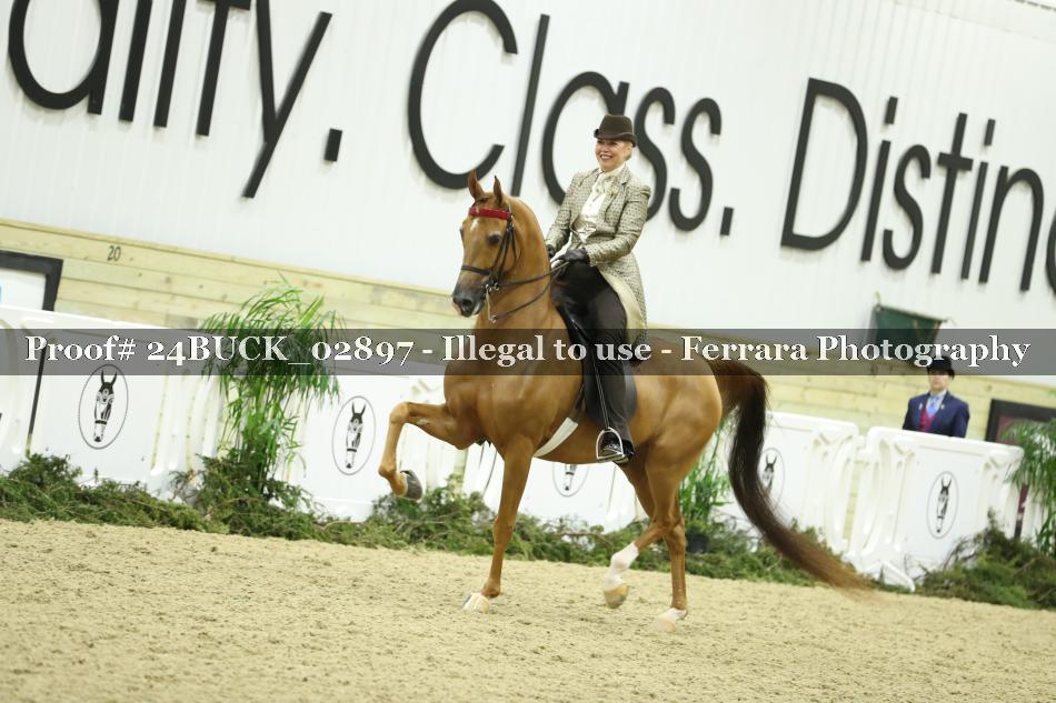 Proof 24BUCK_02897
