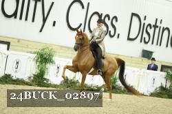 24BUCK_02897 proof