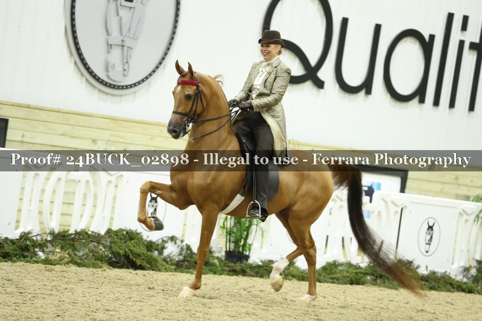 Proof 24BUCK_02898