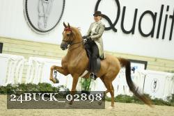 24BUCK_02898 proof