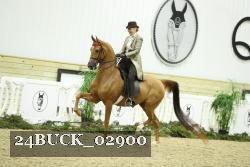 24BUCK_02900 proof
