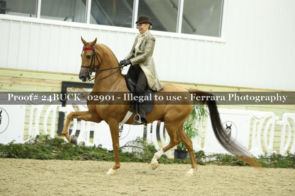 Proof 24BUCK_02901