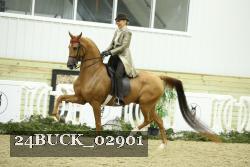 24BUCK_02901 proof