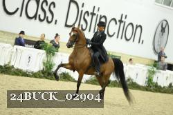 24BUCK_02904 proof
