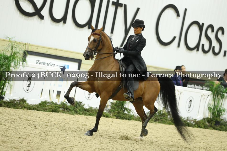 Proof 24BUCK_02905