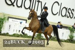 24BUCK_02905 proof