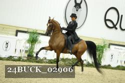 24BUCK_02906 proof