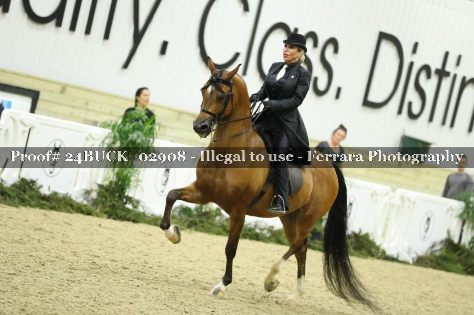 Proof 24BUCK_02908