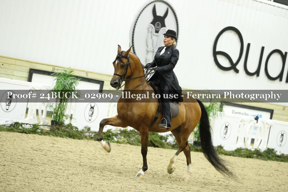 Proof 24BUCK_02909