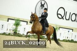 24BUCK_02909 proof