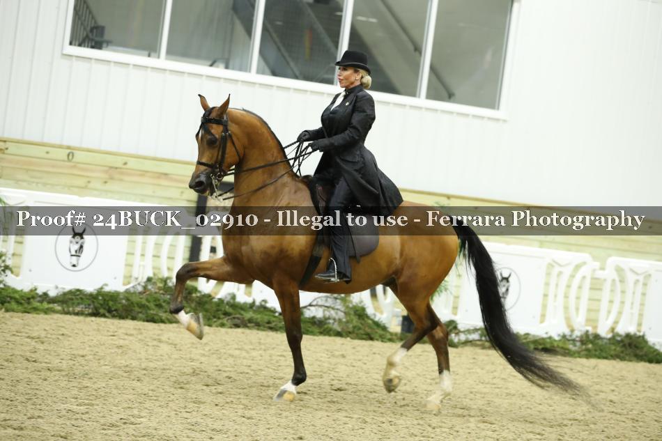 Proof 24BUCK_02910