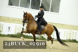 24BUCK_02910 proof