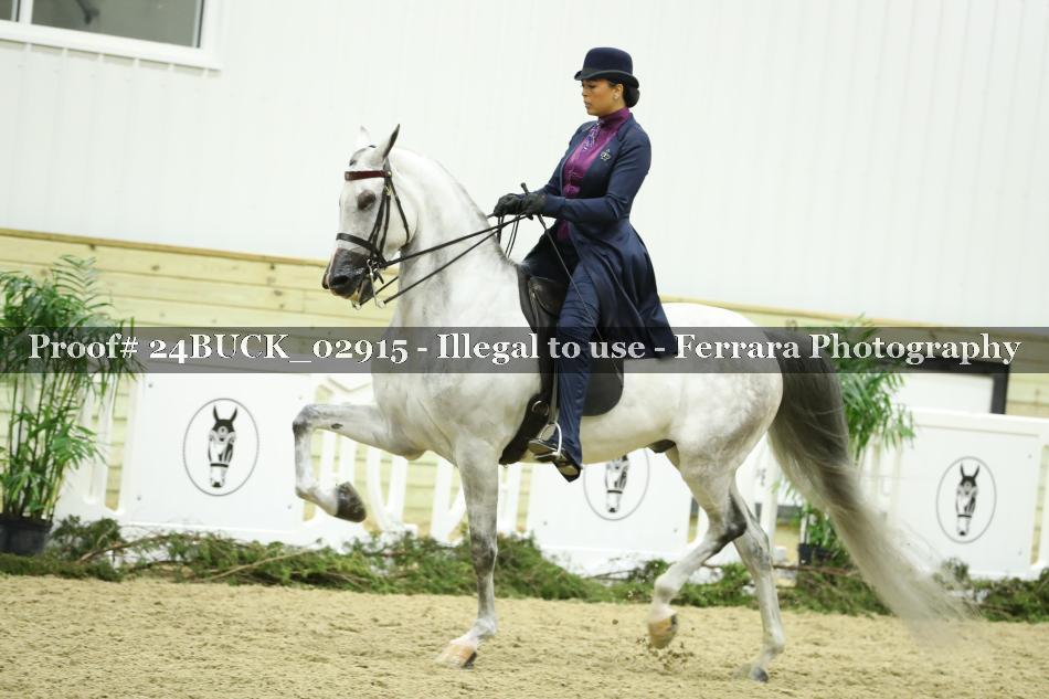 Proof 24BUCK_02915