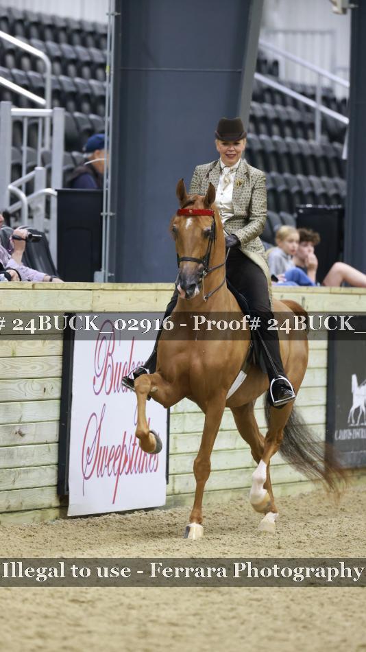 Proof 24BUCK_02916