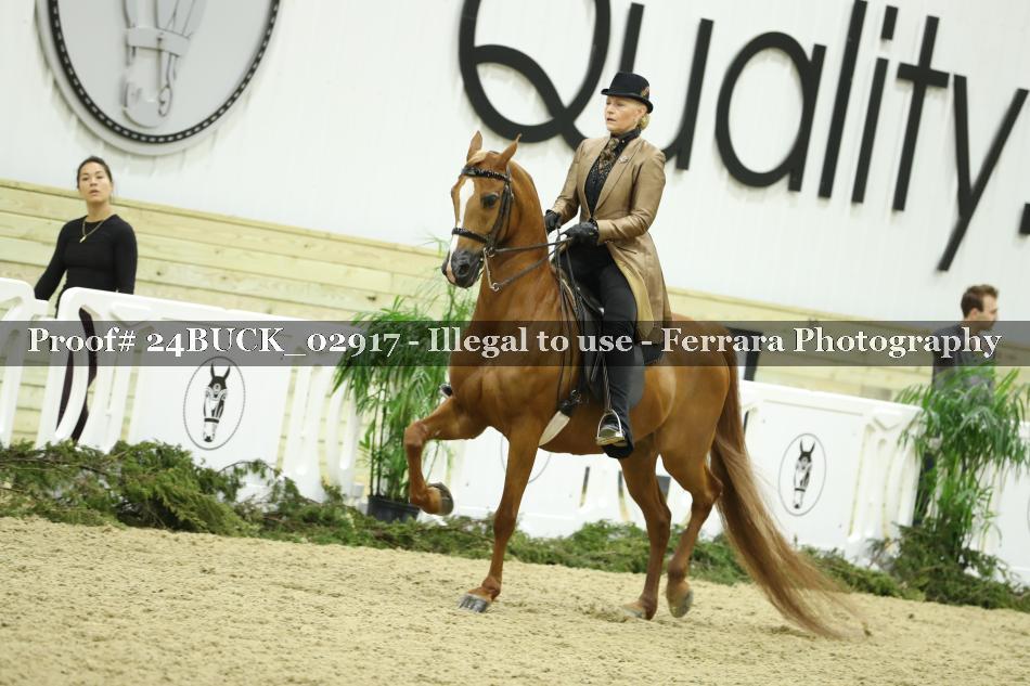 Proof 24BUCK_02917