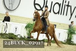 24BUCK_02917 proof