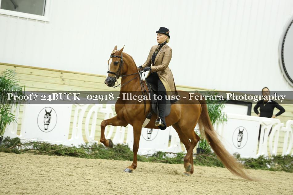 Proof 24BUCK_02918
