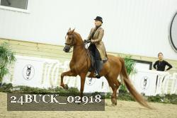 24BUCK_02918 proof
