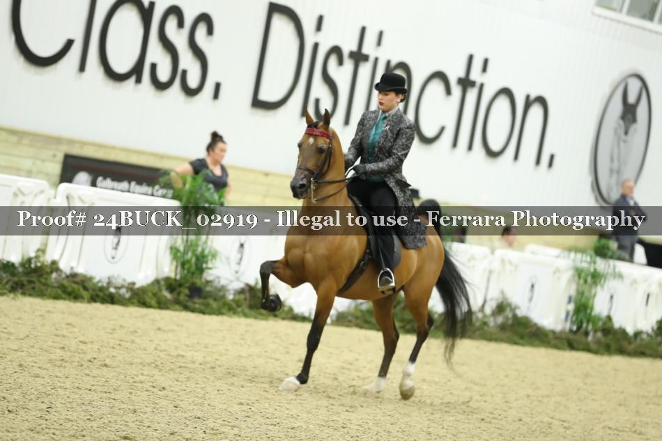 Proof 24BUCK_02919