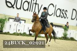 24BUCK_02921 proof