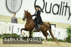 24BUCK_02923 proof