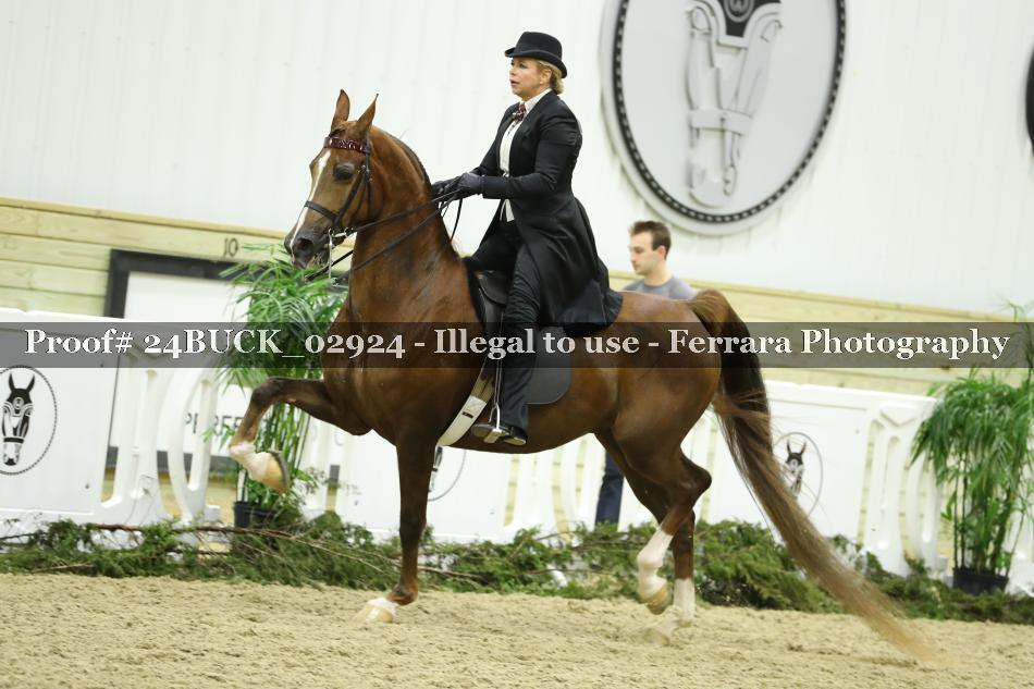 Proof 24BUCK_02924