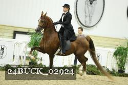 24BUCK_02924 proof