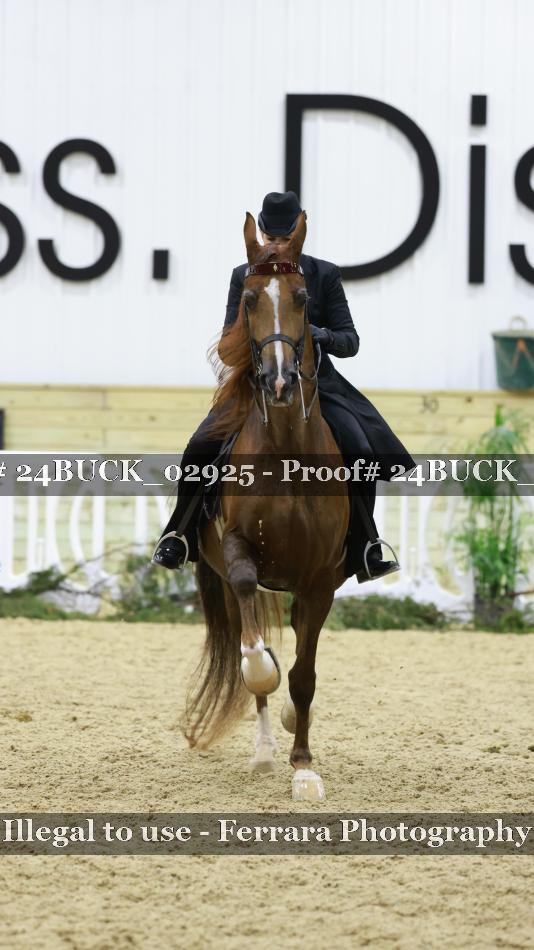 Proof 24BUCK_02925