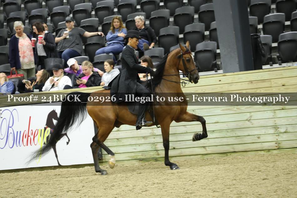 Proof 24BUCK_02926