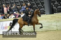 24BUCK_02926 proof