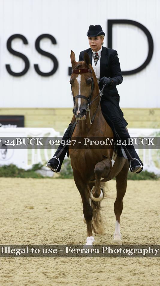 Proof 24BUCK_02927