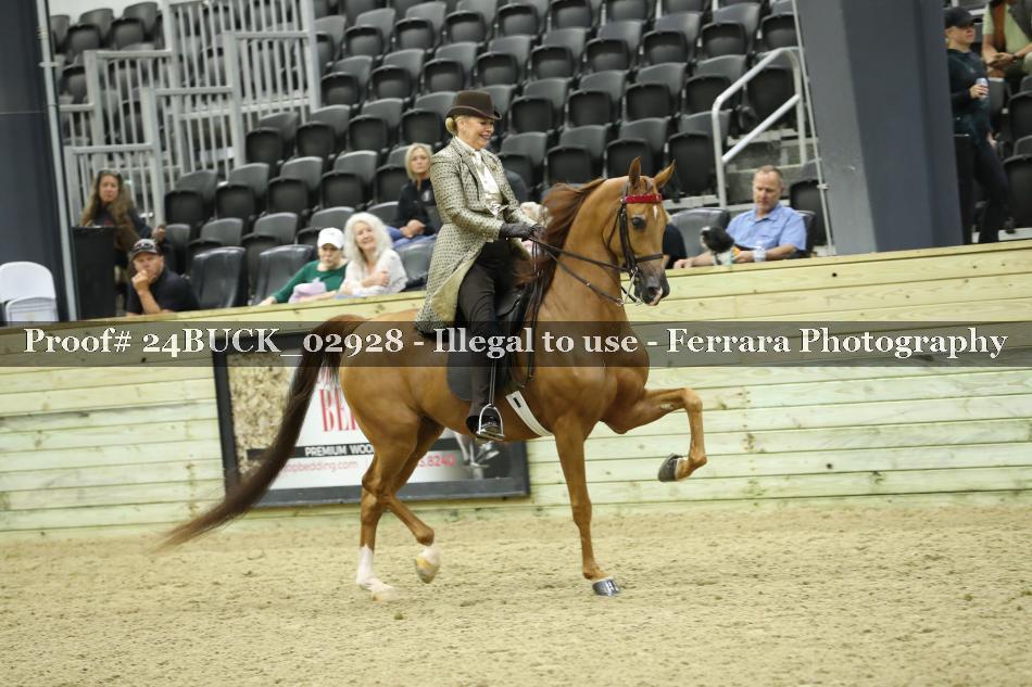 Proof 24BUCK_02928