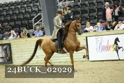 24BUCK_02929 proof