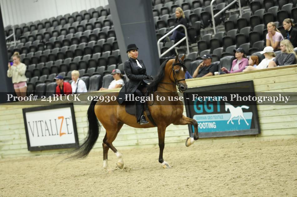 Proof 24BUCK_02930