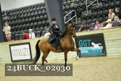 24BUCK_02930 proof