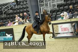 24BUCK_02931 proof
