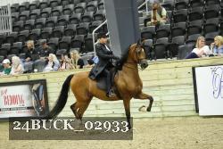 24BUCK_02933 proof