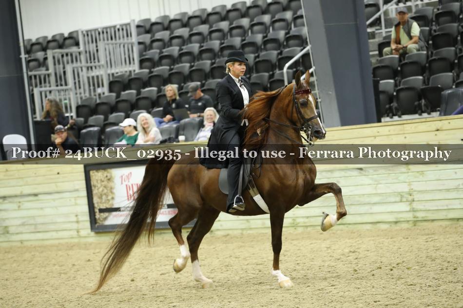 Proof 24BUCK_02935