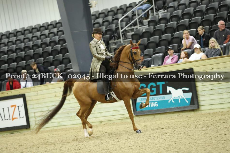 Proof 24BUCK_02945