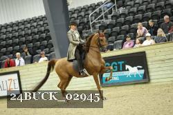 24BUCK_02945 proof