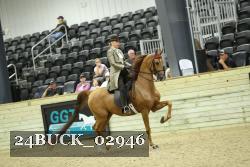 24BUCK_02946 proof